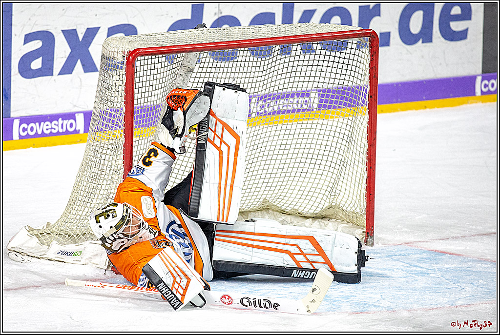 DEL Koelner Haie - Grizzlys Wolfsburg, 23.09.2018